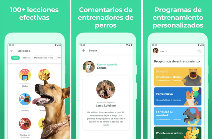 descargar-Dogo-entrenamientos-perros